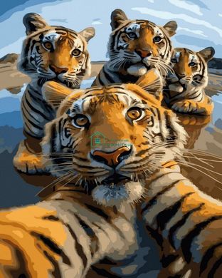 339 грн  Живопись по номерам ANG481 Набор раскраска по номерам Селфи от тигров