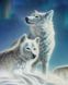 КДИ-0497 Набір діамантової вишивки Красива пара вовків